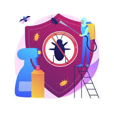 Professional Exterminators Of Columbia Is What You Needed To Deal With Anoying Pest