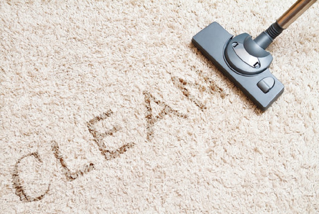 North Shore Carpet Stain Removal: Common Issues