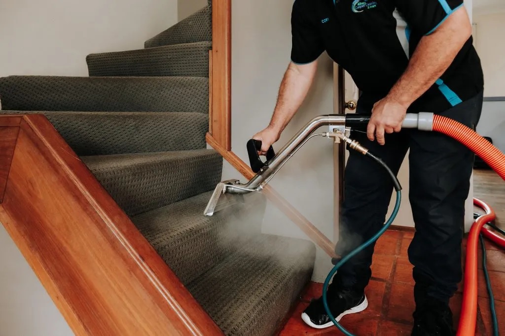 The Hidden Benefits of Professional Carpet Cleaning in Northern Beaches