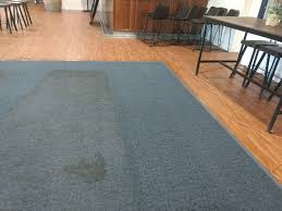 Diving Deep into Carpet Cleaning Northern Beaches: What Awaits You?